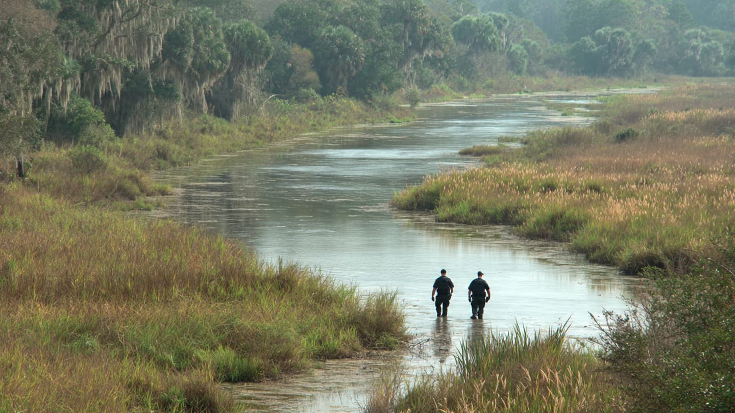 When the Marsh Became Part of the Pursuit