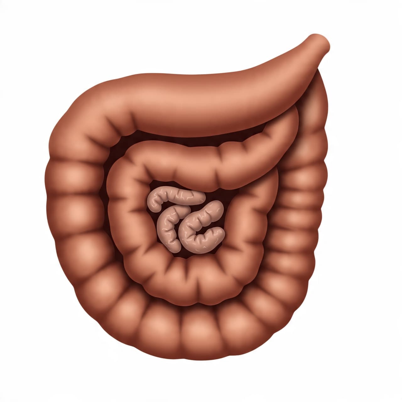 Inside the Body: A Gastroenterologist Reveals Colon Cancer’s Hidden Signs