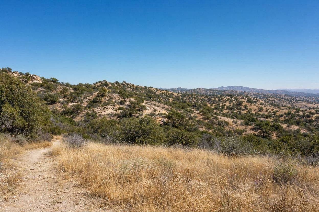 A Brief Respite: Fire Weather Eases But Risk Remains