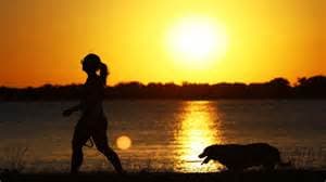 Till Death Do Us Bark: Brazilian State Allows Pets to Be Buried with Owners