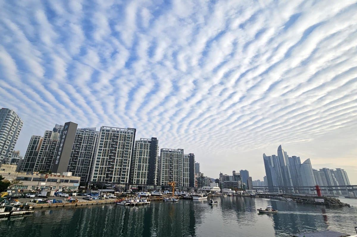 South Korea to Test Arctic Route for Container Shipping to Rotterdam