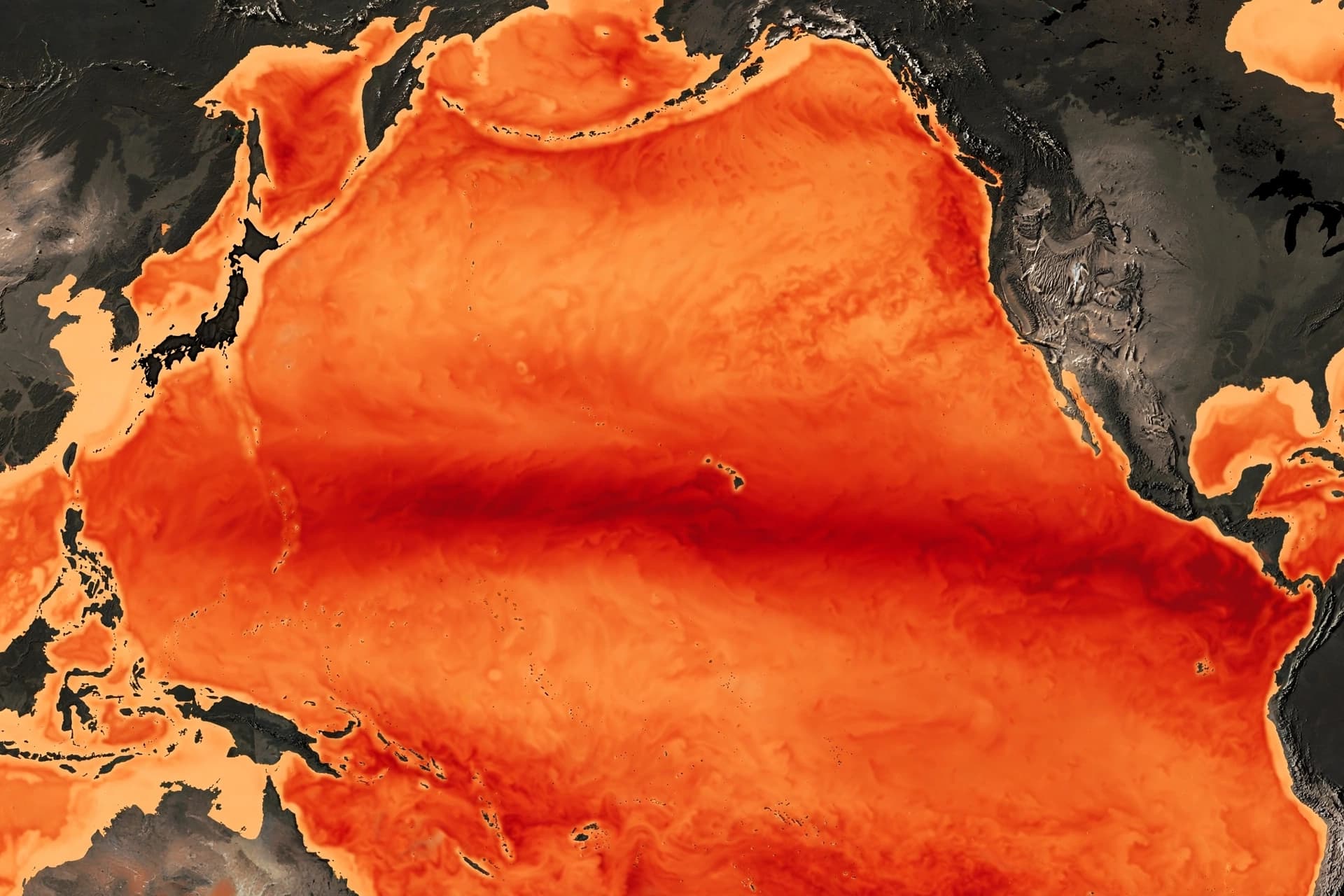 The Strongest El Niño in Decades, and When It Will End