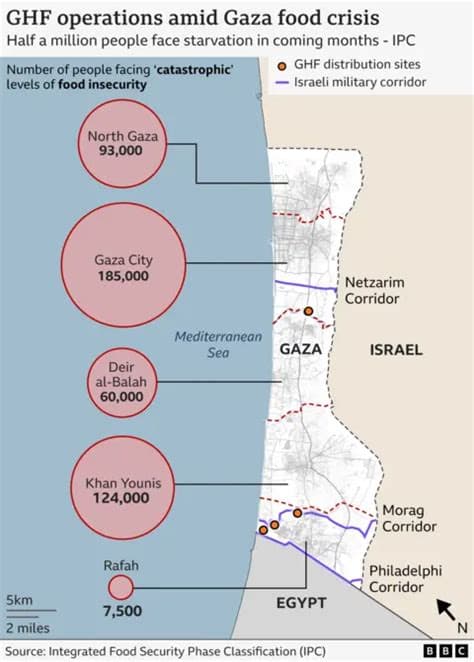 Hamas raids WFP distribution point in Gaza Strip, drawing condemnation from UN official