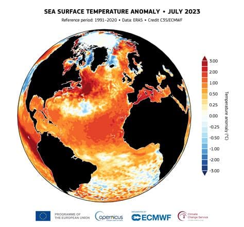 Ocean surface temperatures hit record high as world enters “uncharted territory,” scientists warn