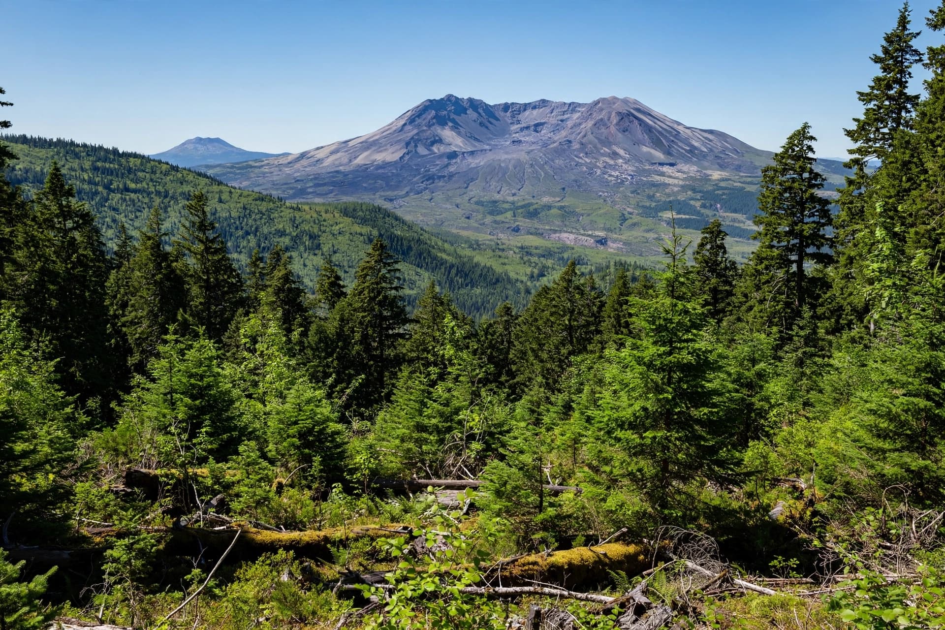A Moonscape That Was Never Empty: The Recovery of Mount St. Helens