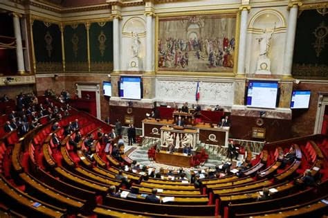 French Parliament Committee Approves Social Media Ban for Under-15s