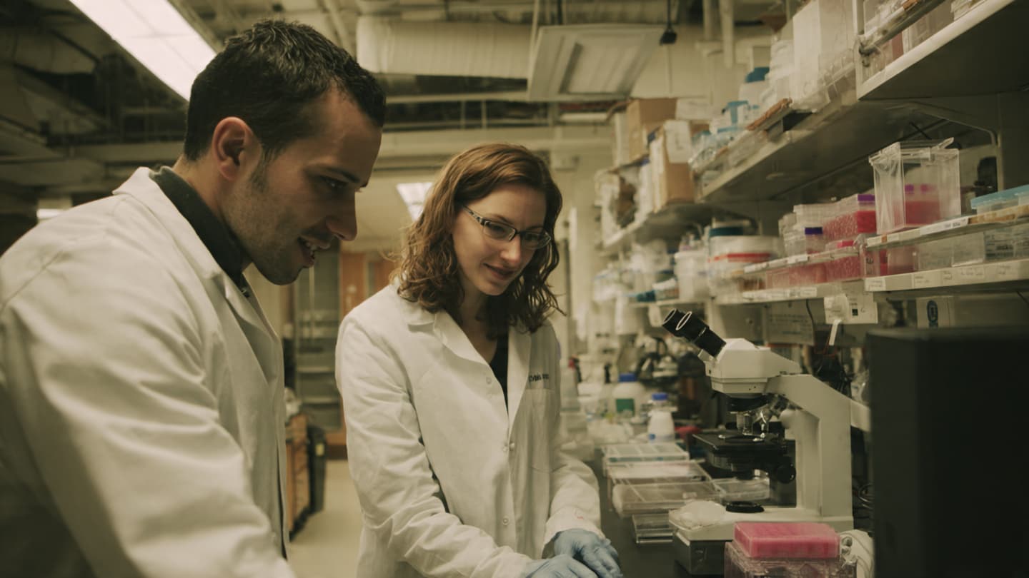 Research Cooperation Enters a Period of Quiet Political Tension