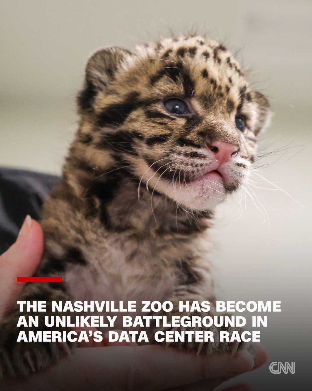 Data Center Expansion Sparks Environmental Concerns Near Nashville Zoo