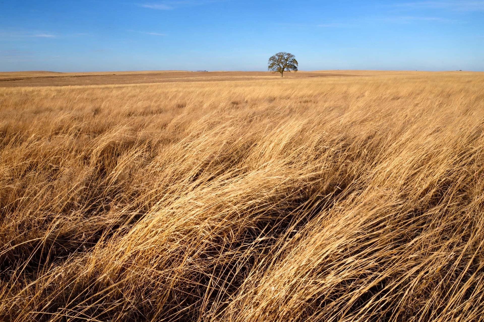 Warm and Dry Now, Wet Later: The Patience Autumn Demands
