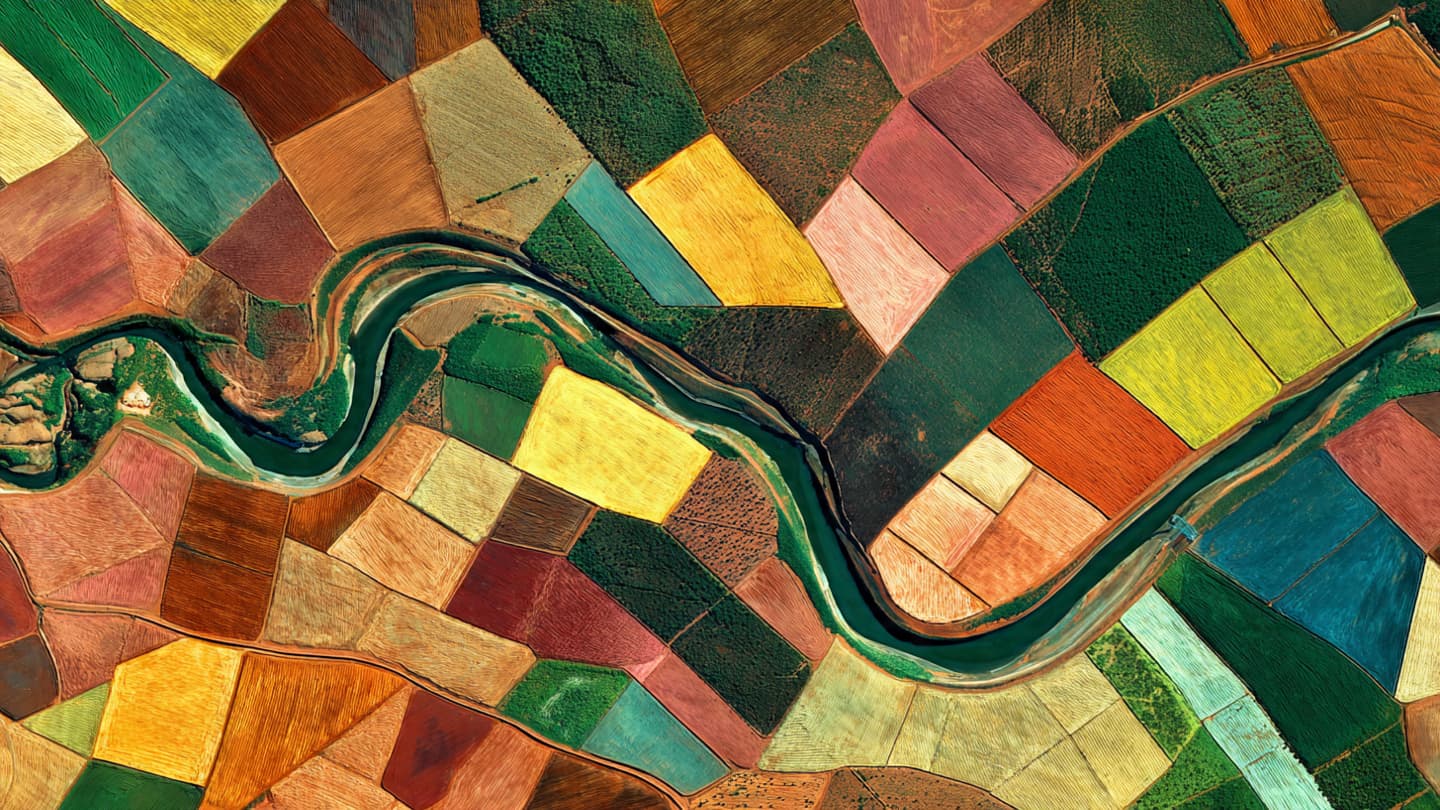 Fields Become a Living Map Seen From Space