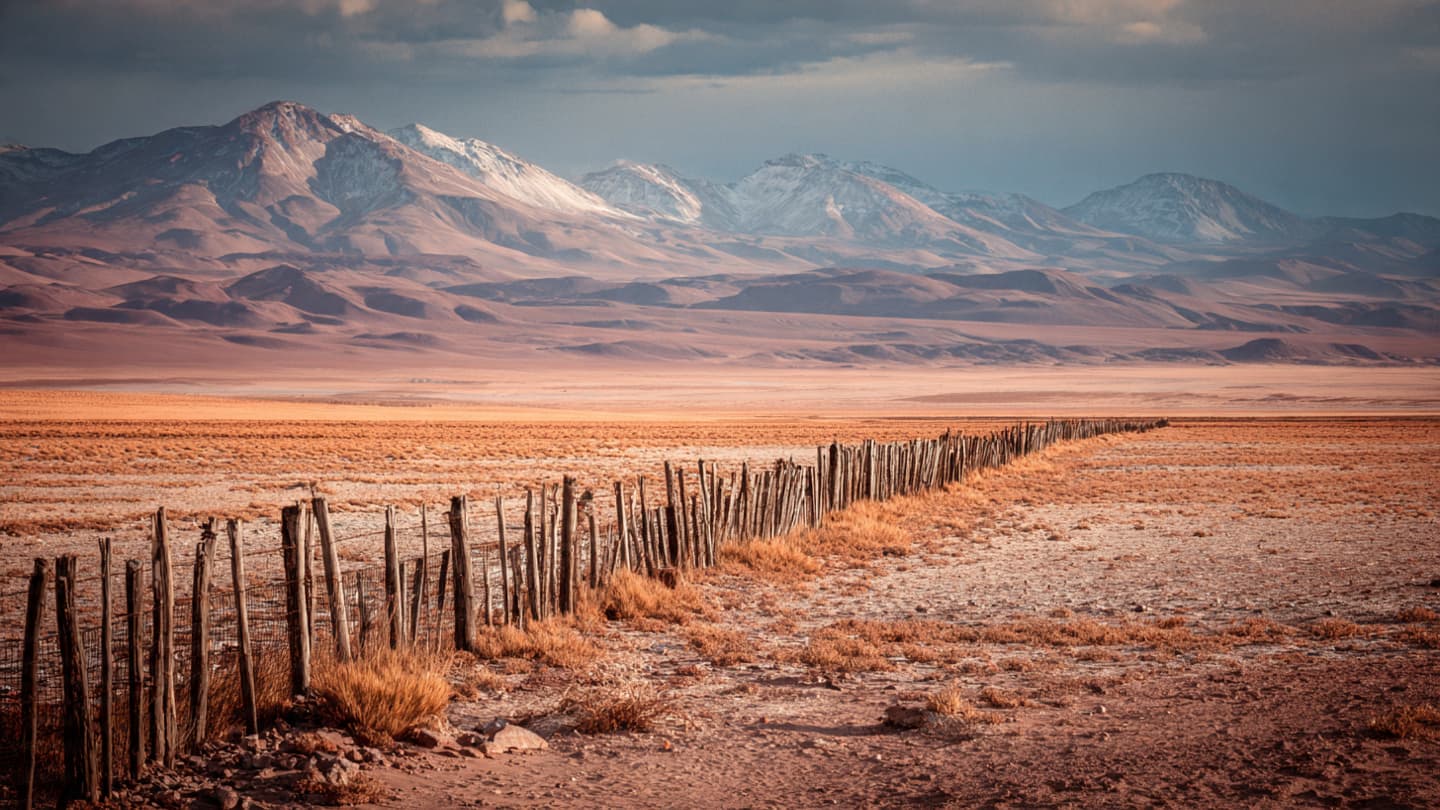 From the Edge of the Desert to the Center of Power: Chile, Migration, and the Echo of Foreign Rhetoric
