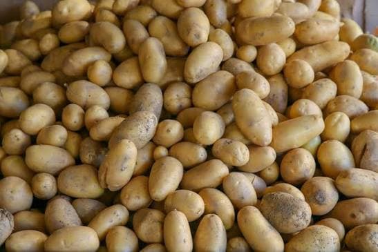 France Faces Lowest Potato Yield in More Than 30 Years as Drought Damages Crops