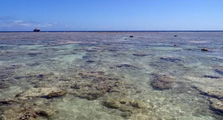 France Rolls Out 'Strong Protection' Label for 63 Marine Areas