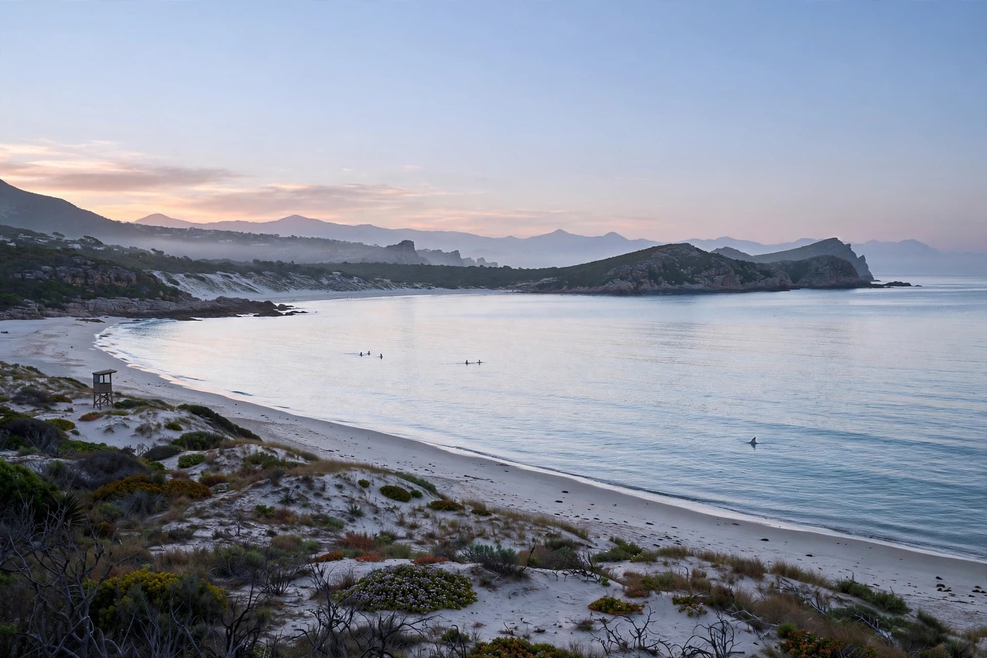 She swam every morning; on Tuesday, the ocean answered differently