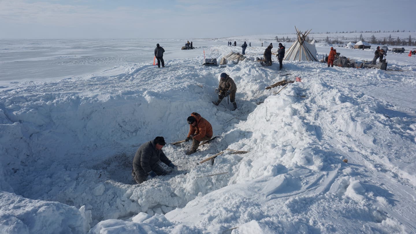 In frozen silence, ancient DNA begins to tell its story again