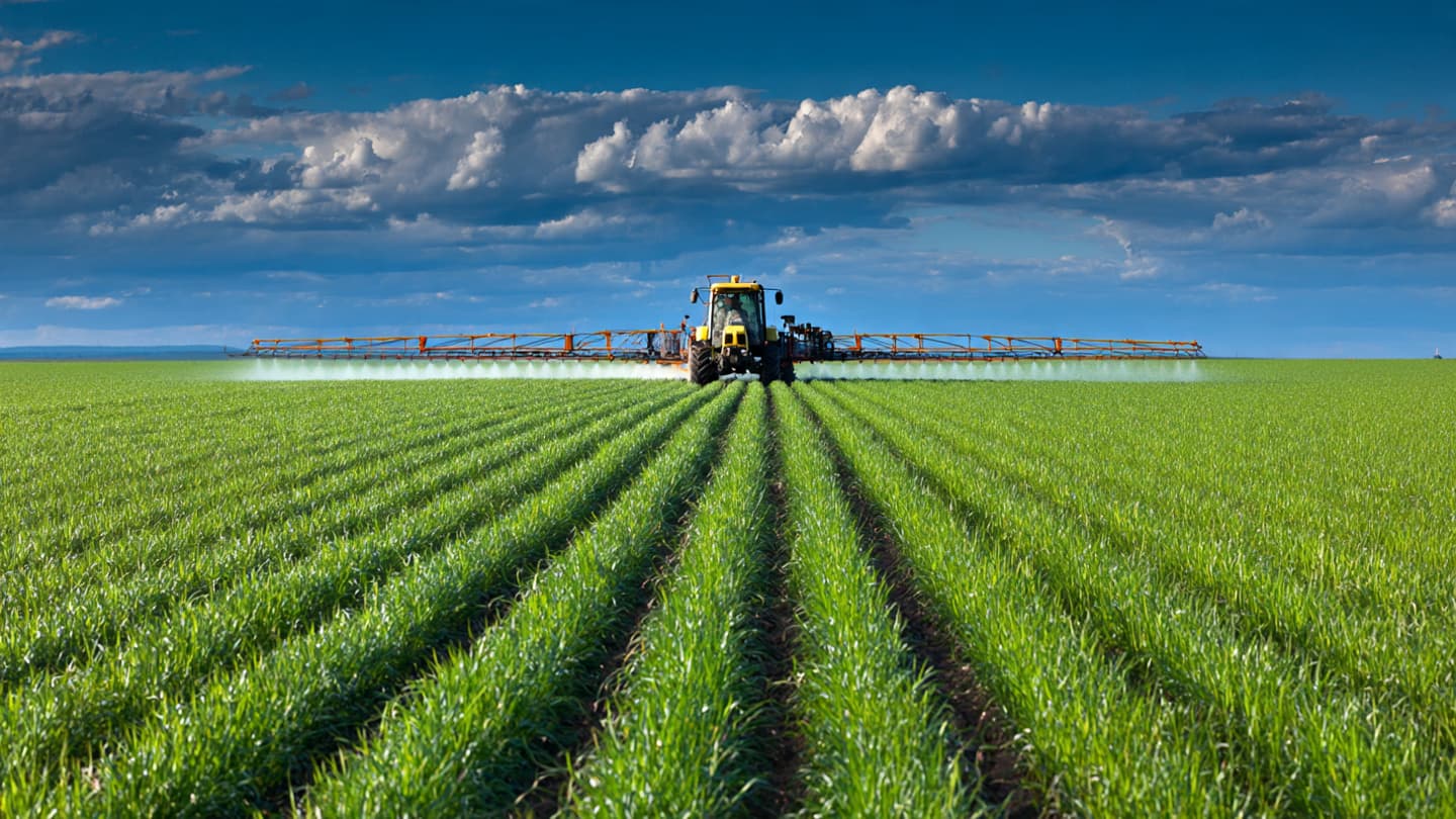 Through Narrow Waters, Toward Wider Fields: Rethinking Fertilizer Flows in the Strait of Hormuz