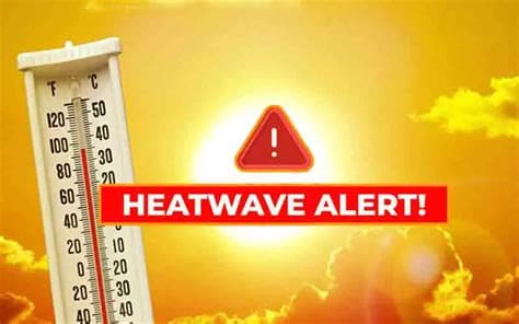 South Korea Heatwave Kills 16 as Seoul Issues First Highest-Level Heat Alert