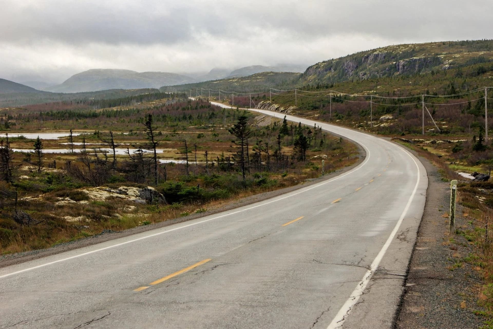 She turned her sister’s memory into a petition for safer roads