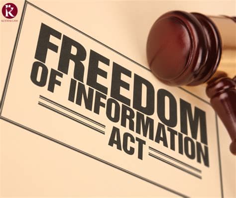“Democracy is falling in Germany”: Freedom Information Act set to be demolished