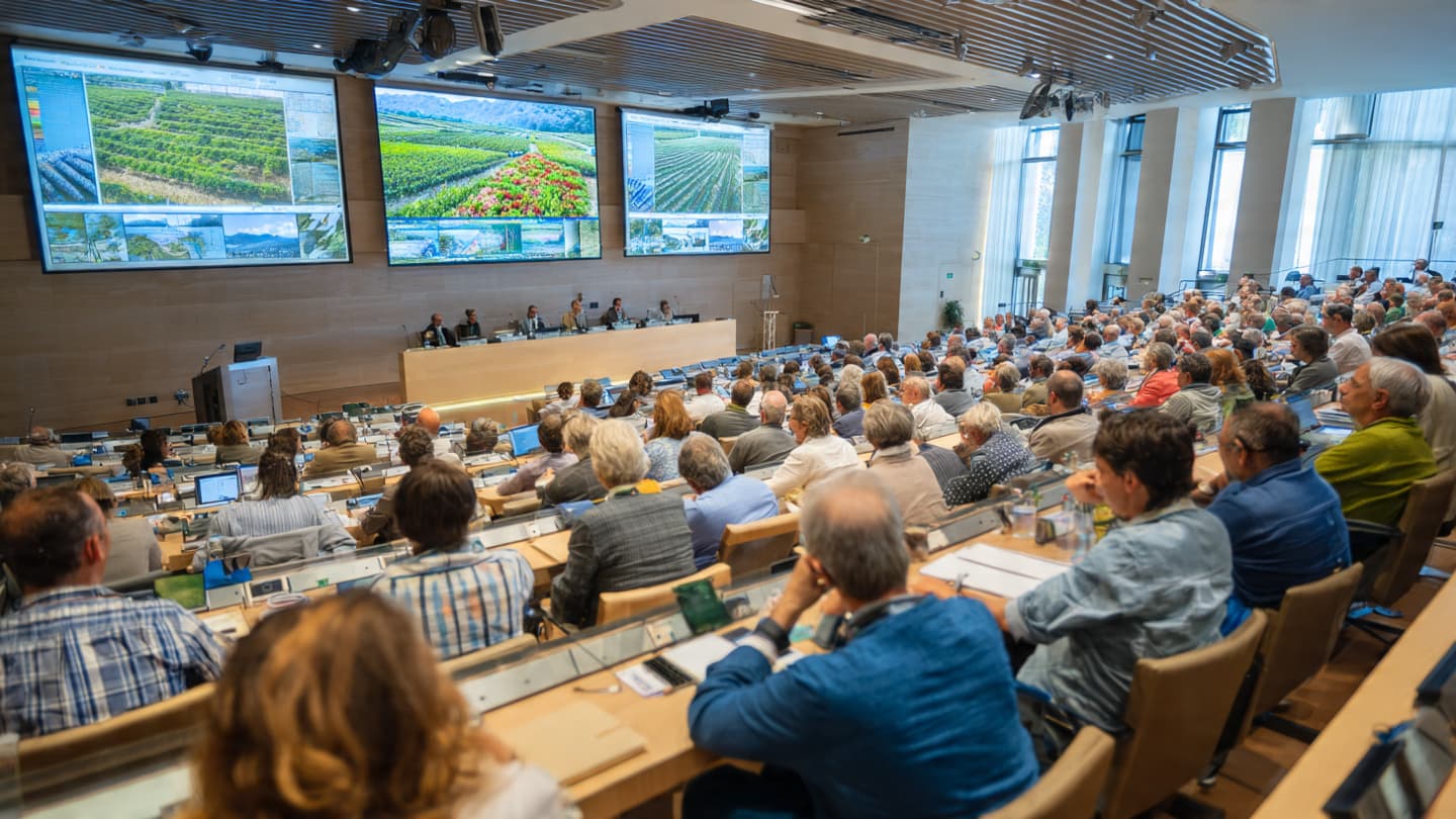 Can International Cooperation Strengthen the World’s Food System?