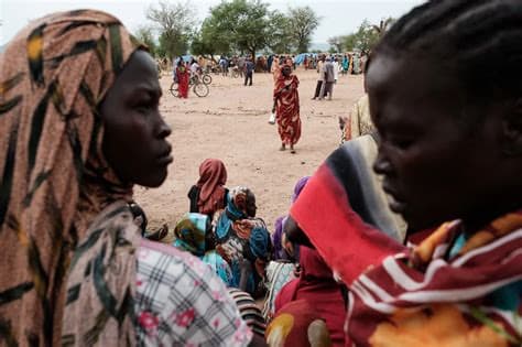 Recruitment of Sudanese Women: The Dark Side of the War in North Kordofan