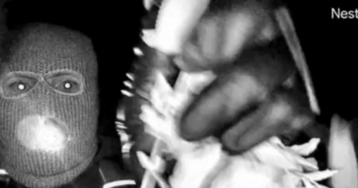 Man Questioned About Nancy Guthrie's Disappearance Says He Was Released