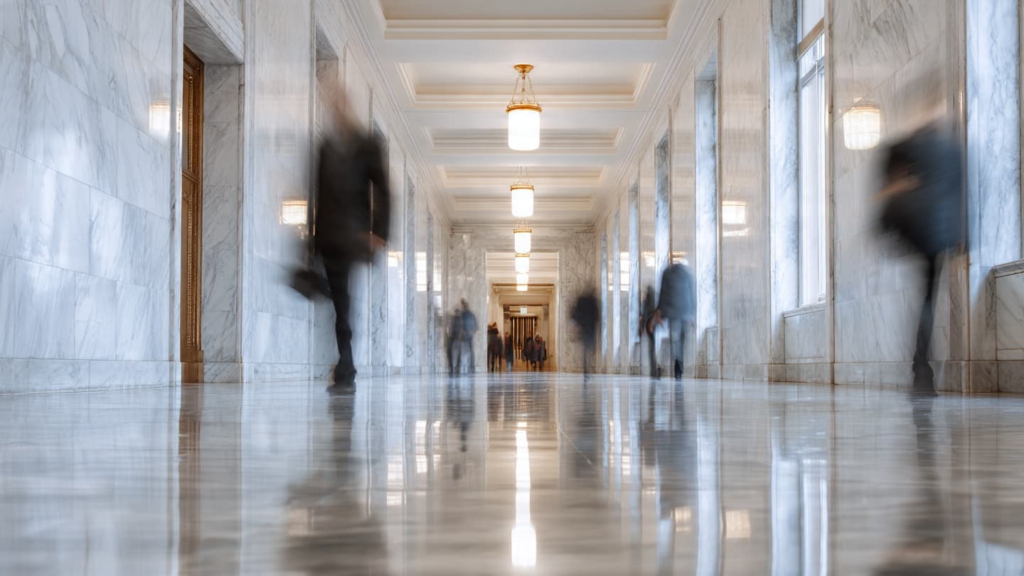 When governance reshapes the lines of public employment stability 