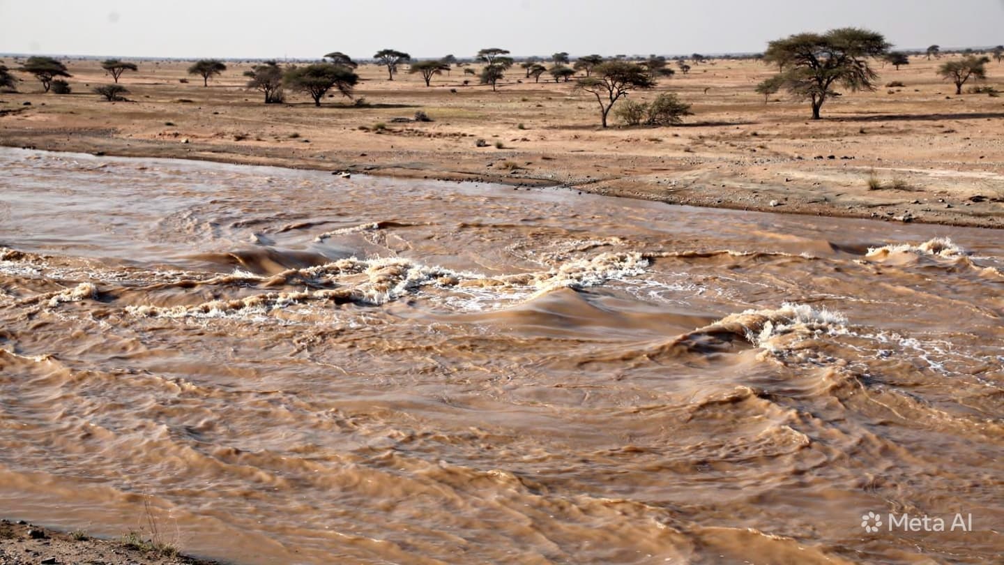  When the Parched Earth Cracks Beneath the Sun, Fire Consumes the Mafeteng Grasslands