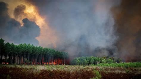 Wildfires near Madrid and in southwestern France force over 90,000 to evacuate