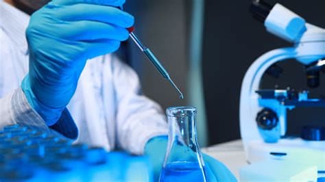 Shamonda-Like Virus Detected in French Animals; No Human Case Reported