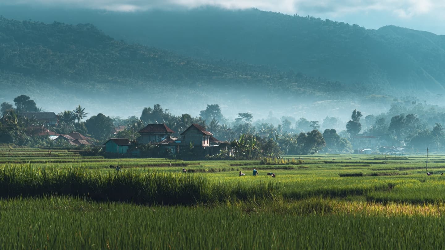 Where Green Fields Meet New Dreams: Indonesia's Agriculture Continues Growing Through Innovation and Shared Determination Together