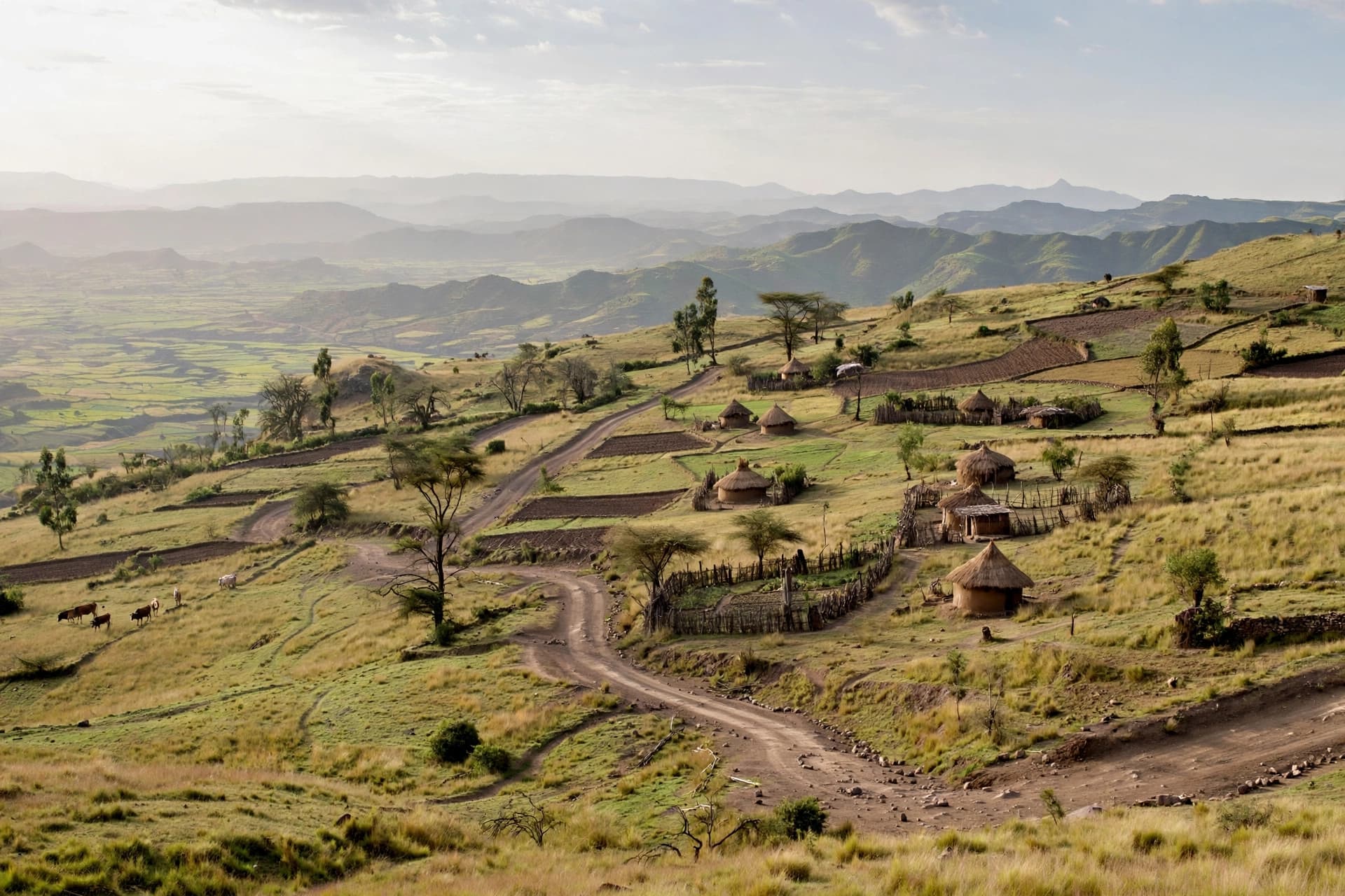 In Ethiopia, the Line Between Soldier and Civilian Has Been Erased