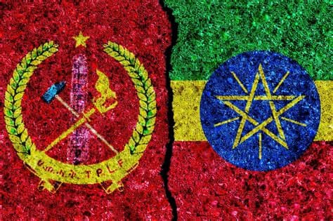 Ethiopia and Tigray Trade Offensive Allegations, Raising Fears of a New War