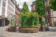 European Cities Use Design to Beat Extreme Heat. Will It Actually Work?