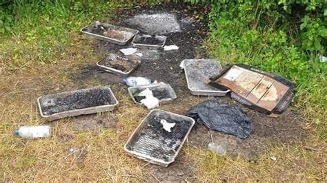 Wildfire destroys 19 homes as disposable barbecues banned in “tinderbox” Britain