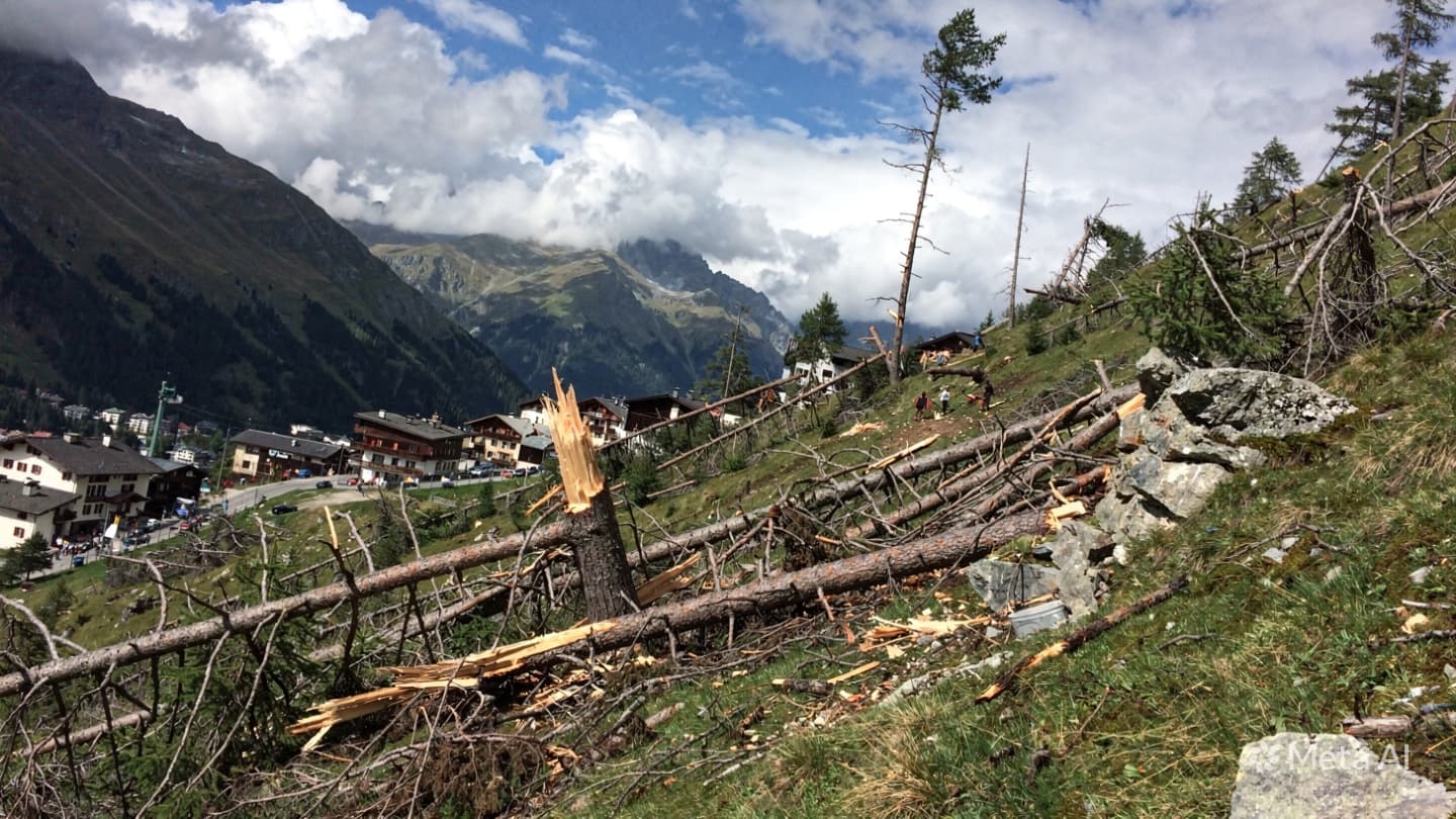  Through the High Mountain Pines, a Great Wind Roars and Alters the Valley Landscape
