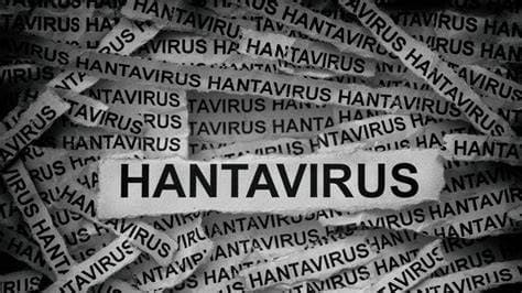 "This Is Not Covid, Nor Influenza. It Spreads Very Differently": WHO On Hantavirus Outbreak