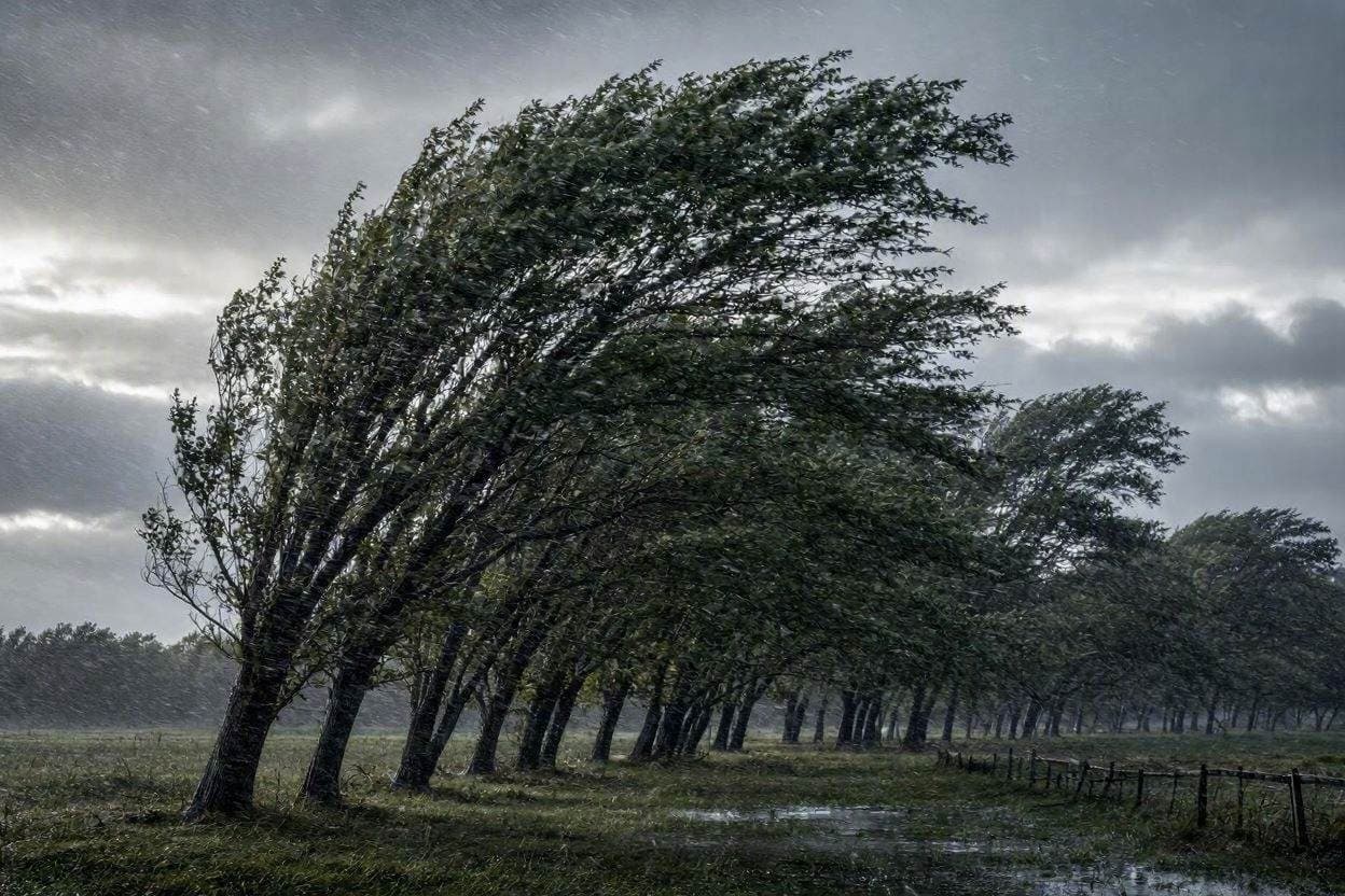 Storm Warning: The Dynamics of the Cold Front