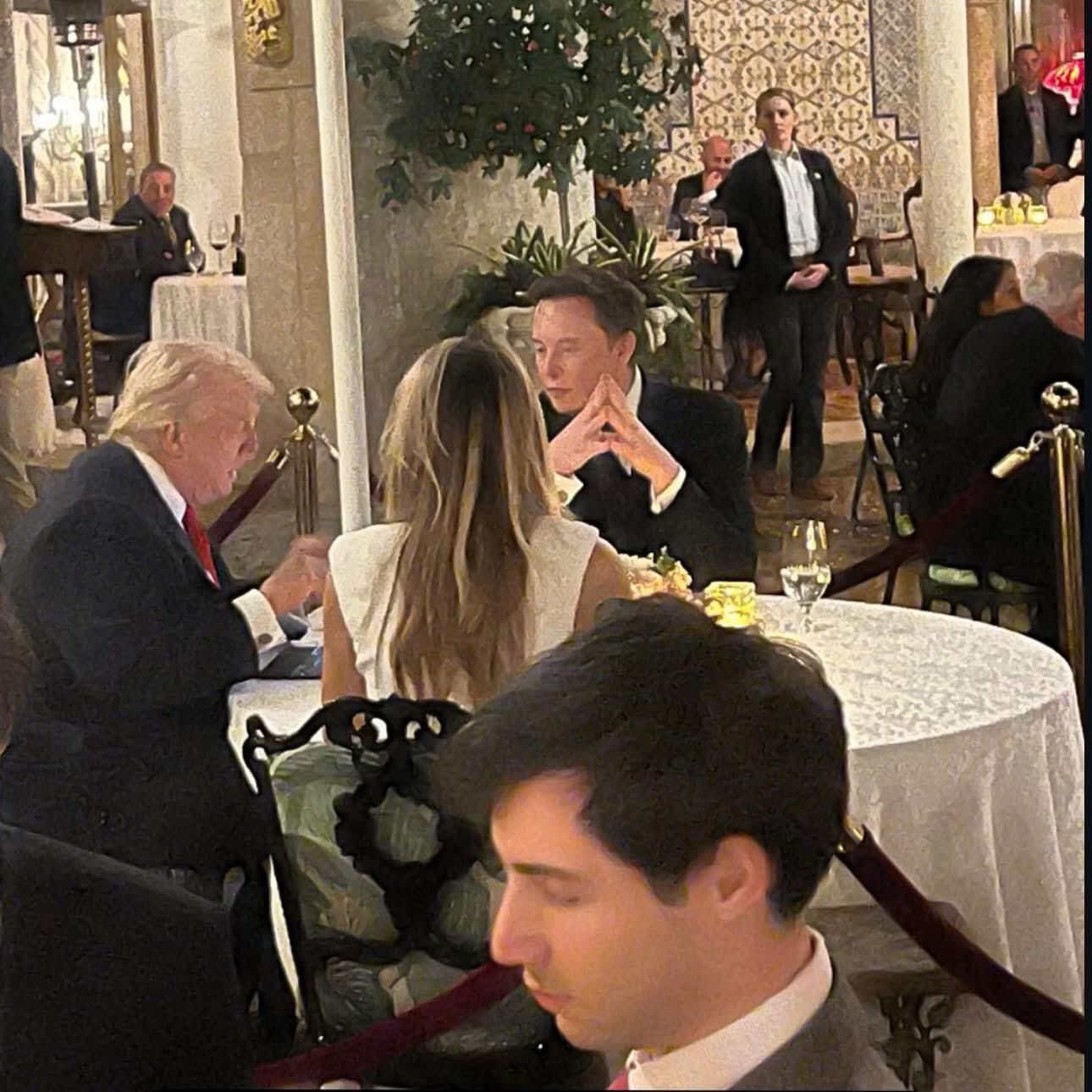 A Signal at the Table: Elon Musk, the President, and a Dinner That Turned Heads