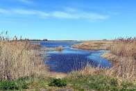 Russian troops refuse observation posts in Dnipro island zone due to supply problems