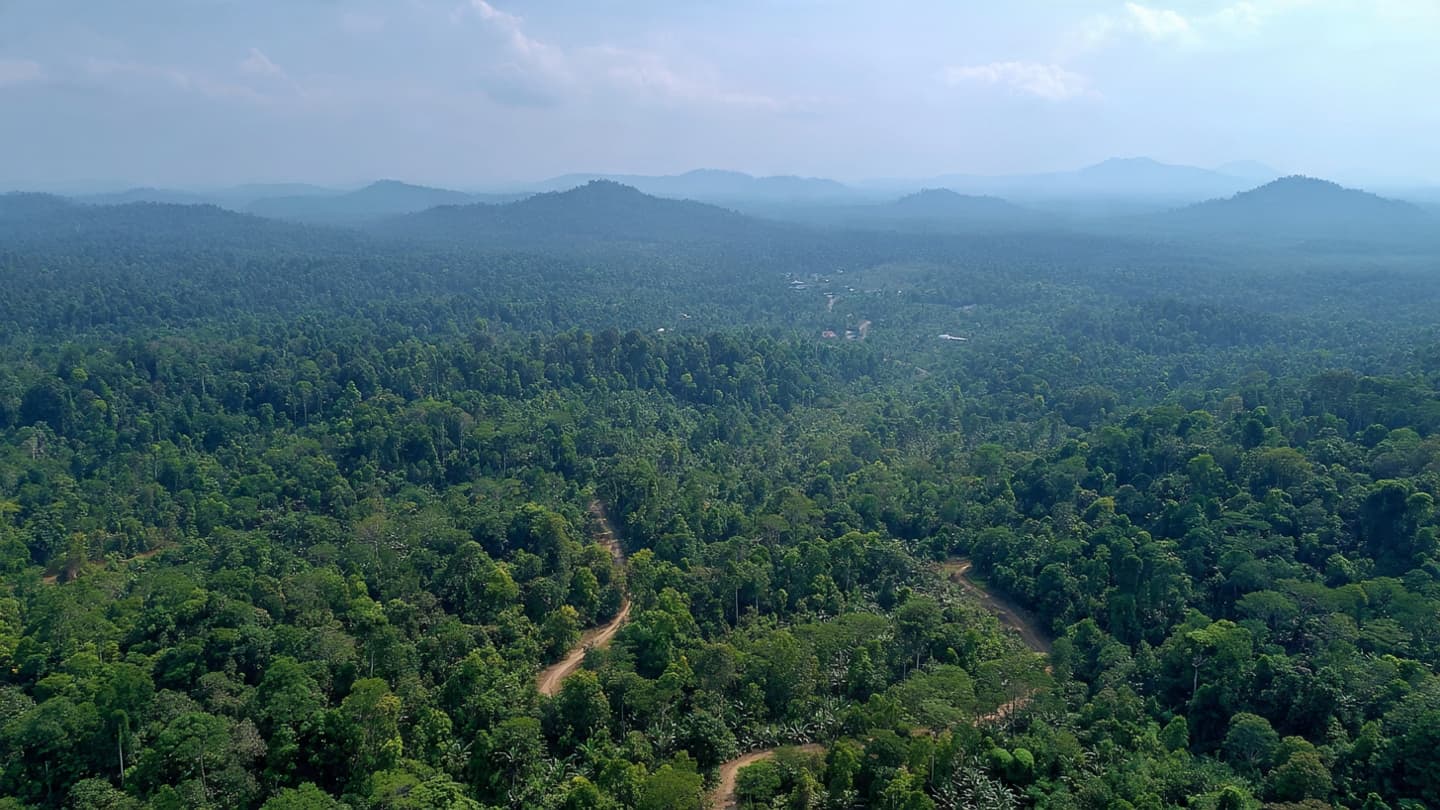 Beneath Borneo’s Green Canopy: Indonesia Turns Toward Kalimantan as Wildfire Hotspots Begin Rising Again