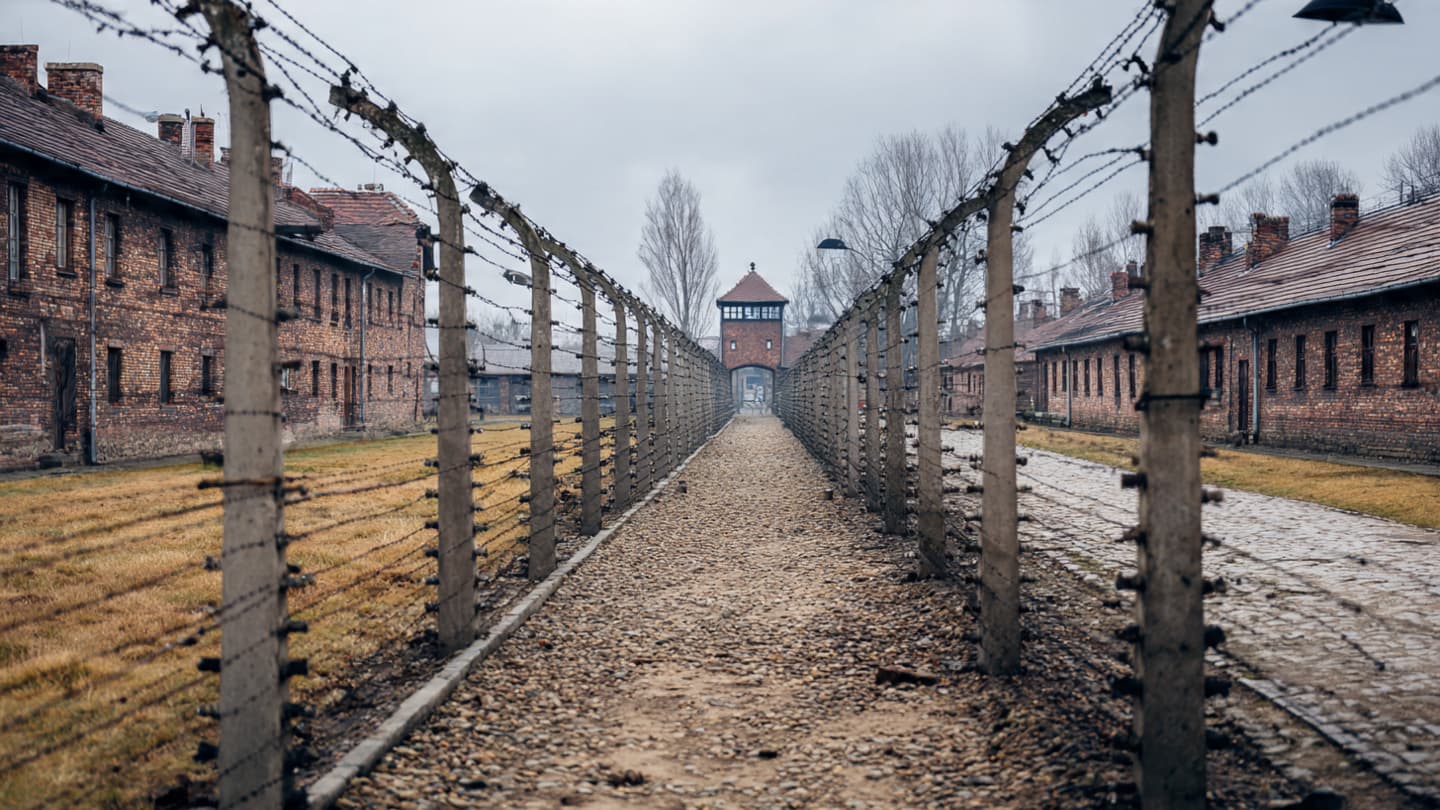 From Auschwitz to Golders Green: When Memory and the Present Speak Across Distance