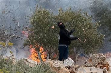 European Diplomats Attacked by Israeli Settlers in West Bank