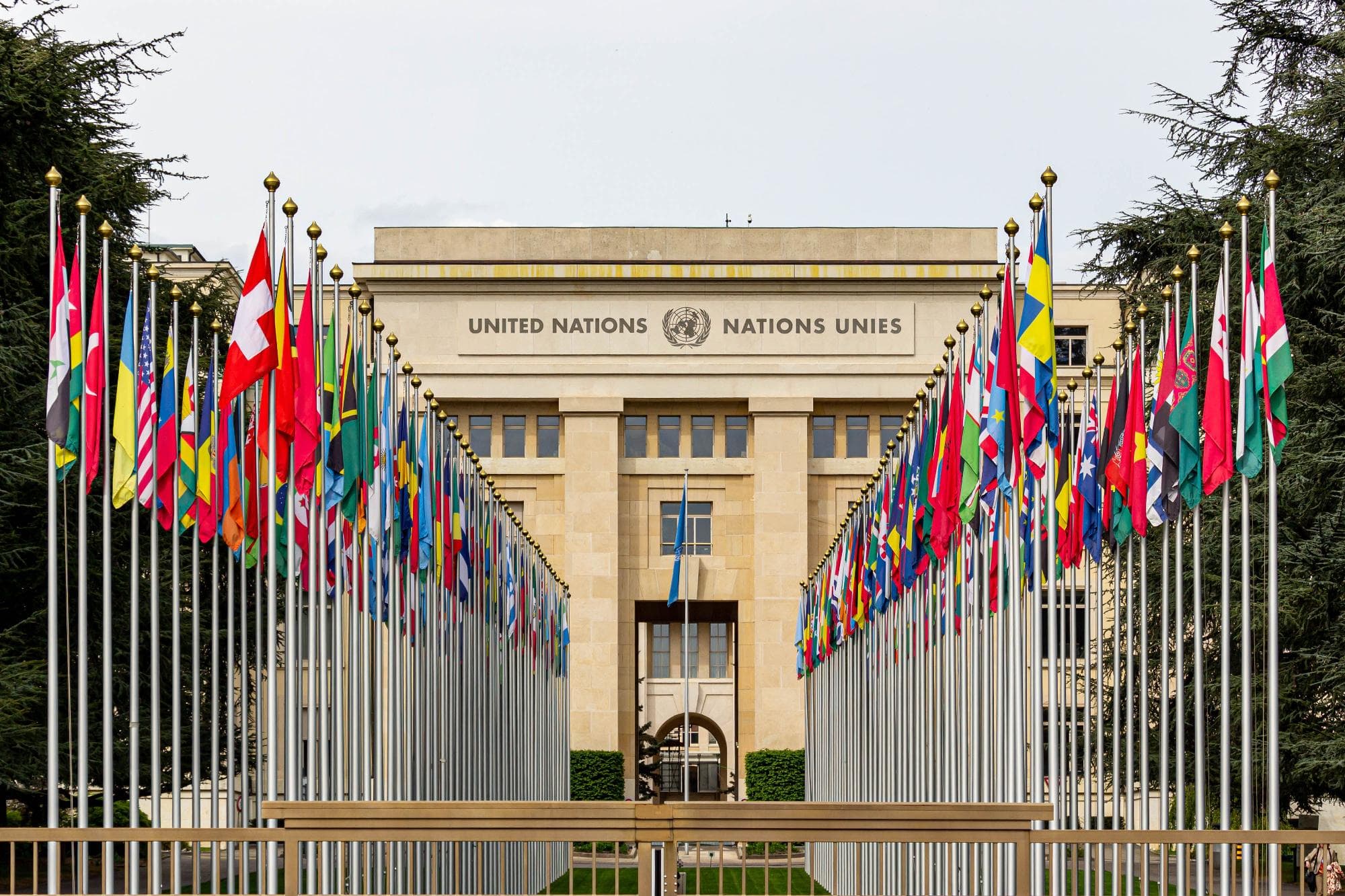 UNDP Expands Stellar Blockchain Payments After Successful Global Pilot Programs