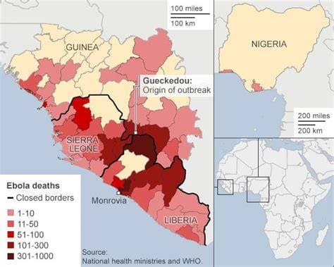 WHO to Hold Emergency Committee Meeting as Ebola Death Toll Rises to 131