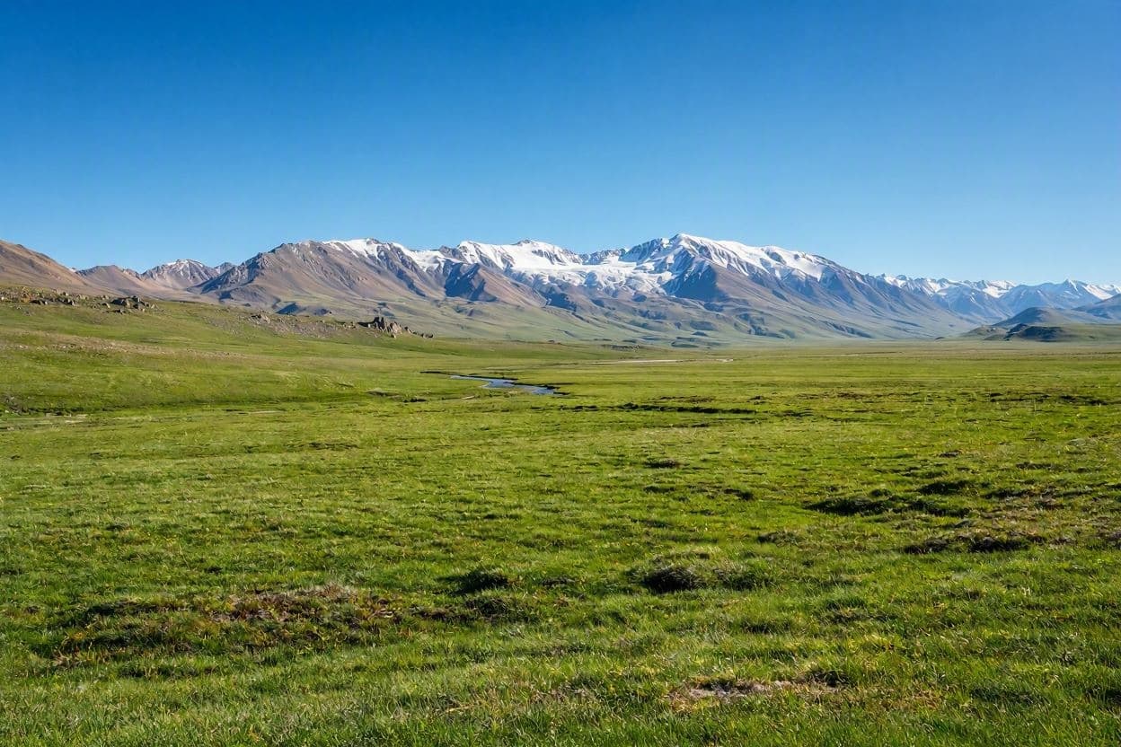 The Hidden Architecture of Stability in Tibetan Grasslands