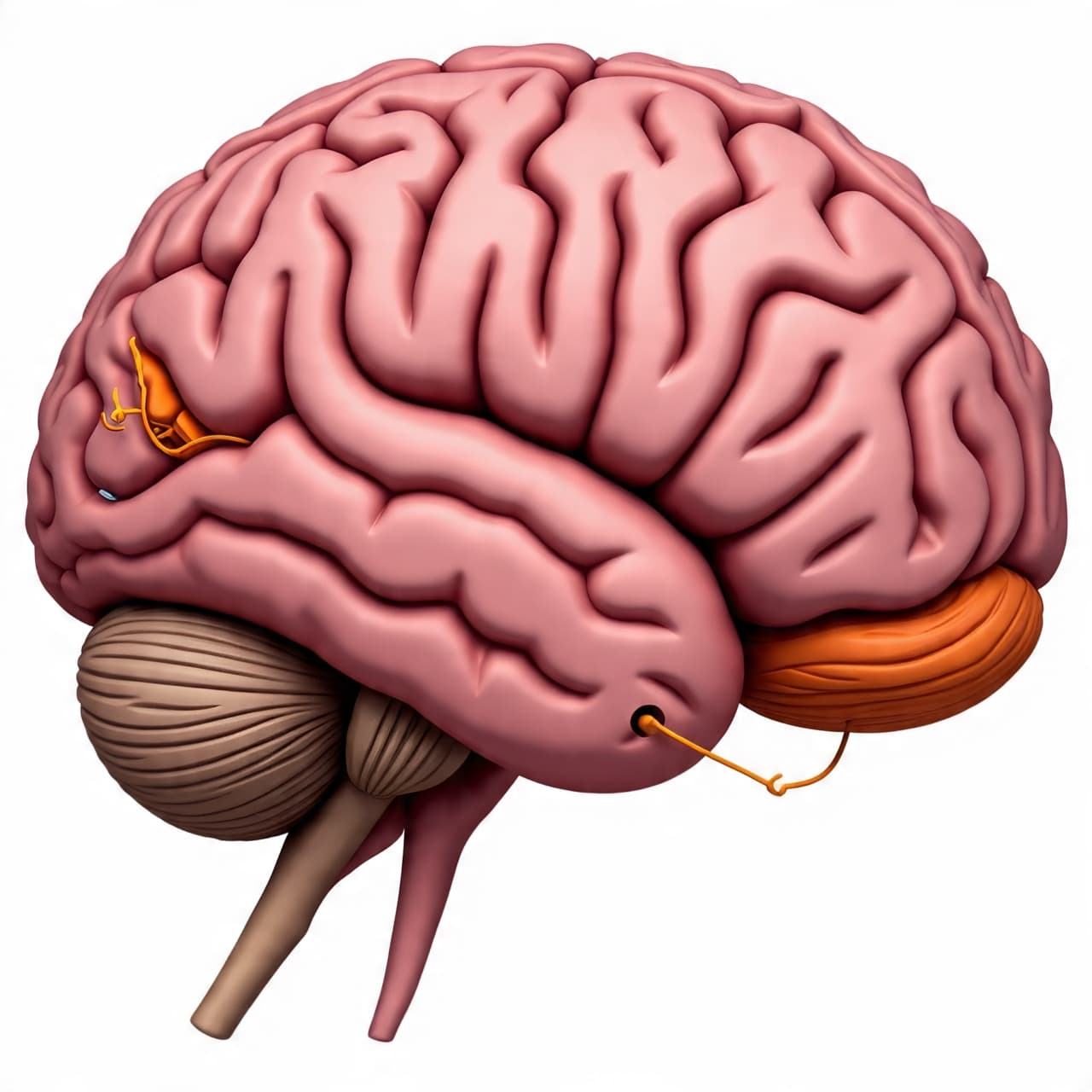When Memory Feeds the Body: Could Recalling Pleasure Shape the Future of Obesity Care?