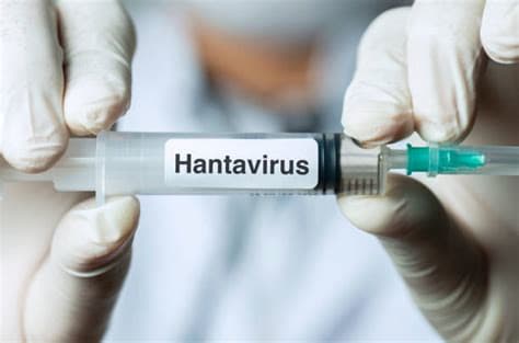 University of Bath Scientists Developing New Hantavirus Vaccine