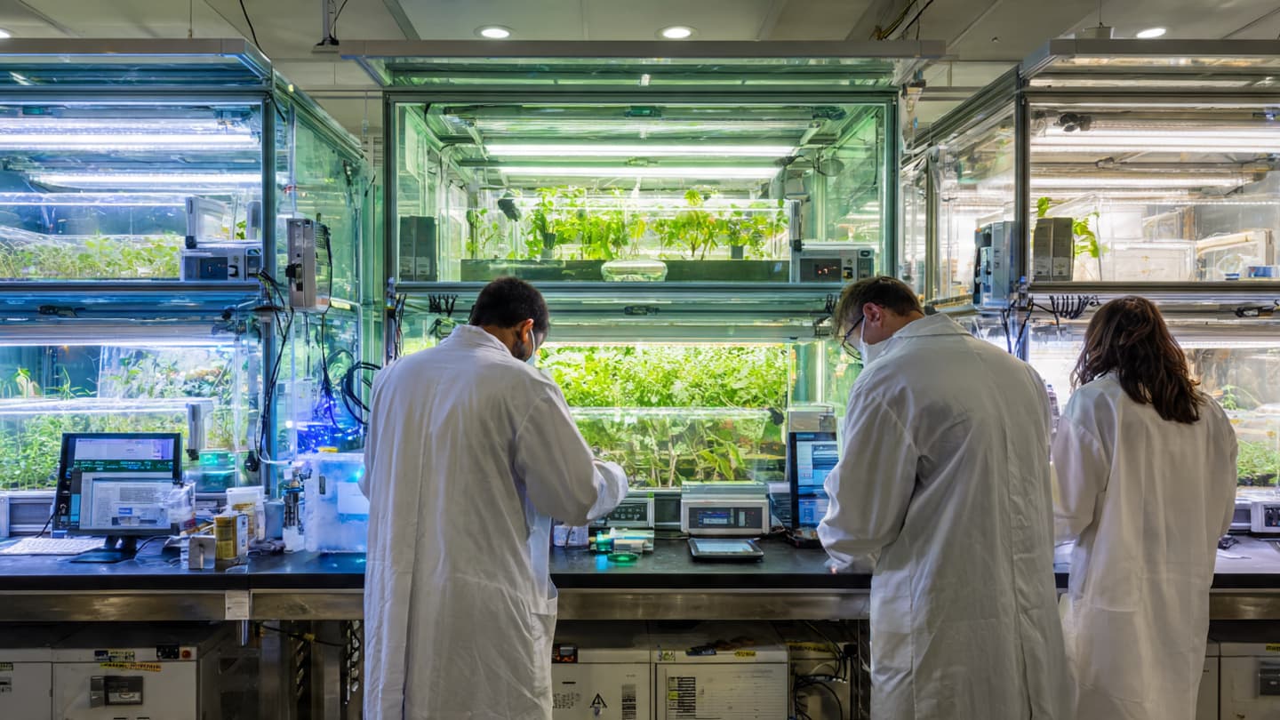 As the World Cup Approaches, Scientists Prepare for the Heat