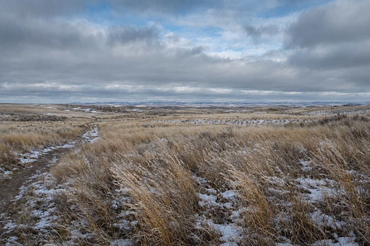 Nature’s Nuance: Preparing for an Unpredictable Winter